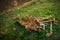 Environmental responsibility - Discarded rusty superstore shopping cart