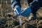 Environmental scientist collecting soil samples in a test tube