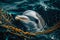 Environmental Urgency: Dolphin in Plastic Net.