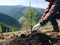 Environmental volunteers plant seedlings of spruce trees on the slopes of the mountains. Generated by AI
