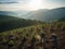 Environmental volunteers plant seedlings of spruce trees on the slopes of the mountains. Generated by AI