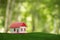 Environmentally eco-friendly real estate house. Small model building property home on grass in green nature ecology. Sustainable