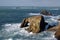 Enys Dodman, The armed knight rock and Longships Lighthouse Lands End Cornwall, UK 