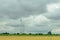 Eolian field and wind turbines farm, near yellow fllowers field, clouds blue sky