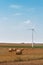 Eolian wind turbine with wheat hay rolls