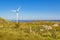 Eolic Windmills at Countryside, Maldonado, Uruguay