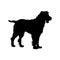Epagneul Pont Audemer Dog Silhouette Found In Map Of Europe