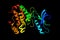 EPH receptor A3, a protein which has been shown to interact with