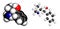 Ephedrine stimulant drug molecule. Alkaloid found in Ephedra plants. Used as stimulant, appetite suppressant, decongestant, etc