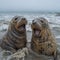 Ephemeral Elephant Seal Mating Ritual, AI generated