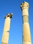 Ephesus Columns