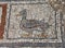 Ephesus Duck Mosaic