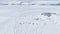 Epic antarctic landscape penguin group aerial view
