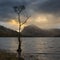 Epic Autumn sunrise landscape image of Buttermere in Lake District with dramatic stormy sky