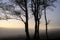 Epic bare tree lanscape image against vibrant dramatic sunset sky with fog rolling across countryside in background