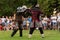 Epic Clash of Mighty Knights: Thrilling Battles at the International Knights Festival