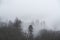 Epic dramatic landscape image of view from Elterwater across towards Langdale Pikes mountain range on foggy Winter morning