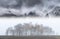 Epic landscape image in Autumn with foggy trees in front of draamtic mountain ridgeline in background