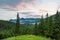 Epic mountain scenery with blue sky and pine trees and fog