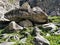 Epic naturally made stone rock shed/cave to protect hikers from snow, rain and landslides.