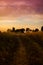 Epic Pastoral Landscape Sunset