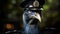 Epic Portraiture: Cassowary Police Officer In Stunning 8k Resolution