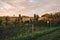Epic scene of a cattle farm - cow livestock grazing in a meadow at sunset in the evening. Amazing sunset landscape. Country