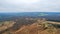 Epic view of the forest taken with the drone