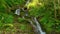 Epic Waterfall in the summer forest. Mountain stream nature background