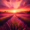 Epic Wide Shot of vibrant lavender fields of Provence.