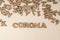 Epidemic corona virus written with wooden letters