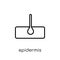 Epidermis icon. Trendy modern flat linear vector Epidermis icon