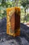 Epoxy resin Stabilizing Afzelia burl exotic wood yellow background, Abstract art picture photo, print design and your advertiseme