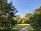 Epping Forest Autumn landscape view with big oaks tree