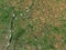 Epping Forest, England - Great Britain. Low-res satellite. No le