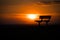 Epson sunset bench