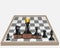 Equal rights in competition. A pawn has become king.