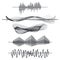 Equalizer sound waves set. Audio black line waves, pulse vector illustration.