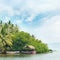 Equatorial forest and boats