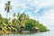 Equatorial forest and boats