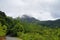 The equatorial forest, Mahe, Seychelles