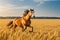 Equestrian Beauty: Horses Galloping Through a Golden Wheat Field.