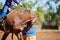 Equestrian Competing In Barrel Race At Outback Country Rodeo