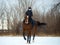 Equestrian country girl riding her bay horse in winter