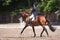 Equestrian Dressage