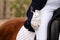 Equestrian in formal attire riding a chestnut horse