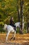 Equestrian girl ride grey arabian horse in autumn woods