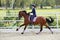 Equestrian girl riding sportive dressage horse