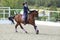 Equestrian girl riding sportive dressage horse