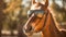 Equestrian Glam: A Horse\\\'s Bold Accessory